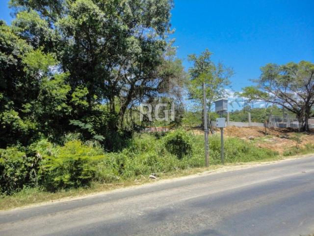 Terreno à venda em Morro santana, Porto alegre cod:CS36007063 - Foto 4
