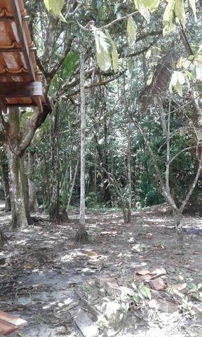 Sítio Santo Antônio do Tauá med.: 180 x 800 só R$ 150 mil - Foto 14
