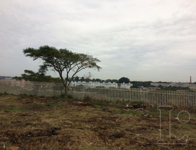Terreno à venda em Rubem berta, Porto alegre cod:LU271167 - Foto 3