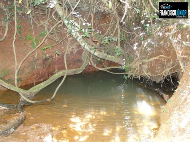Fazenda em Piracanjuba, perto de Goiânia, 13 Alqueires de pura beleza, frente para rodovia - Foto 10