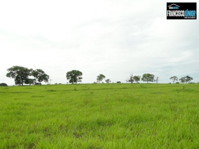 Fazenda em Piracanjuba, perto de Goiânia, 13 Alqueires de pura beleza, frente para rodovia - Foto 13