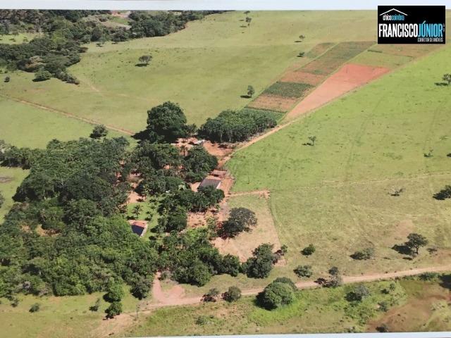 Fazenda em Piracanjuba, perto de Goiânia, 13 Alqueires de pura beleza, frente para rodovia - Foto 3