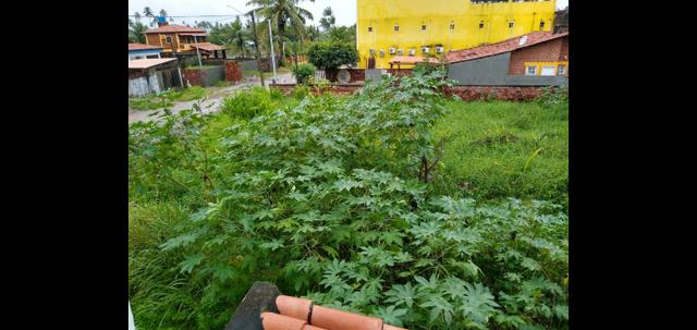 Grande lote em Porto de Galinhas- Perto do mar! Oportunidade de investimento!! - Foto 5