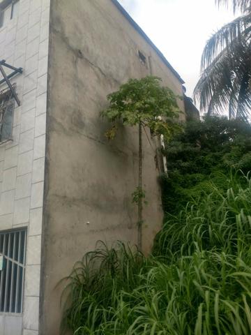 Vendo ou Alugo , 2 Casas Residencial no Loteamento Bosque Real !! - Foto 14