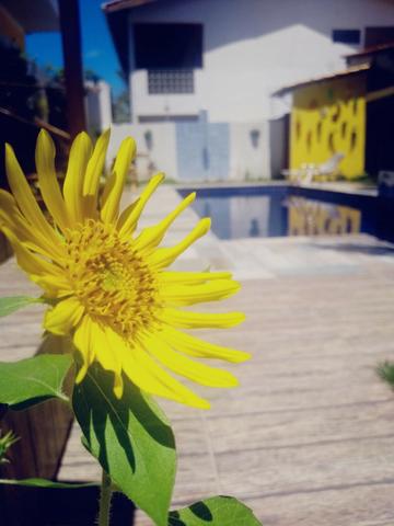 Excelente Pousada 12 Apos 6 Térreos 6 primeiro Andar mobiliada c/piscina estacionamento - Foto 15