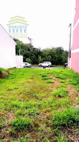 Terreno, Protásio Alves, Porto Alegre-RS - Foto 6
