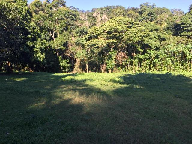 Bon: 2269 Serra do Mato Grosso - Saquarema - Foto 6