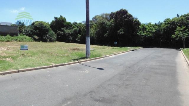 Terreno, Protásio Alves, Porto Alegre-RS - Foto 6