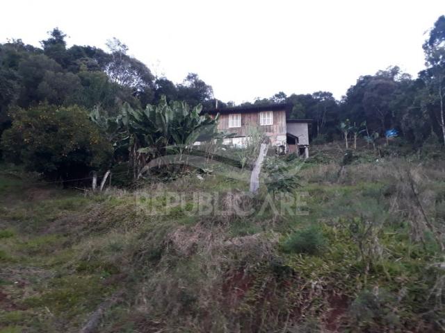 Sítio à venda em Centro, Flores da cunha cod:RP141 - Foto 18