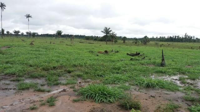 Fazenda - Porto Belo Linha 120 - 900 hectares - Foto 4