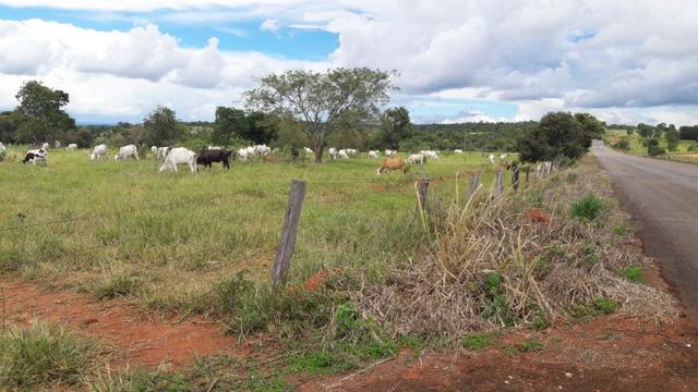 Vendo fazenda bem localizada com 726000m² - Foto 8