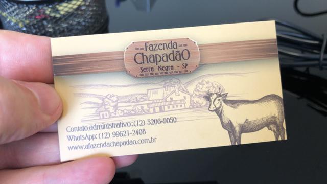 Procura-se revendedores e distribuidores para venda de queijos e laticínios - Foto 3