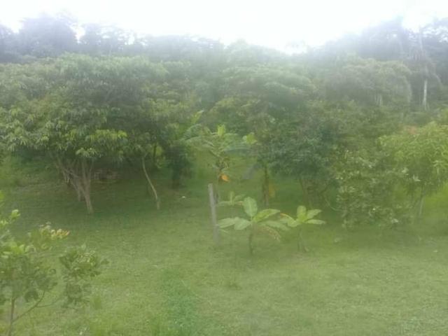 Vendo uma casa - Foto 2