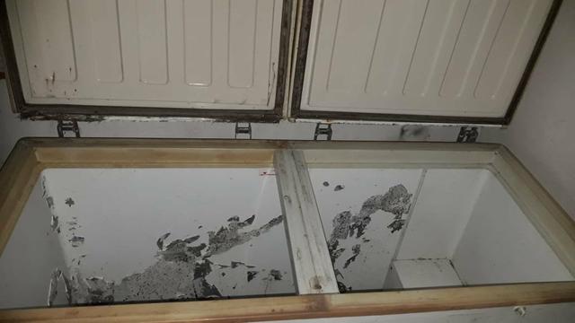 Freezer 02 portas - Foto 2