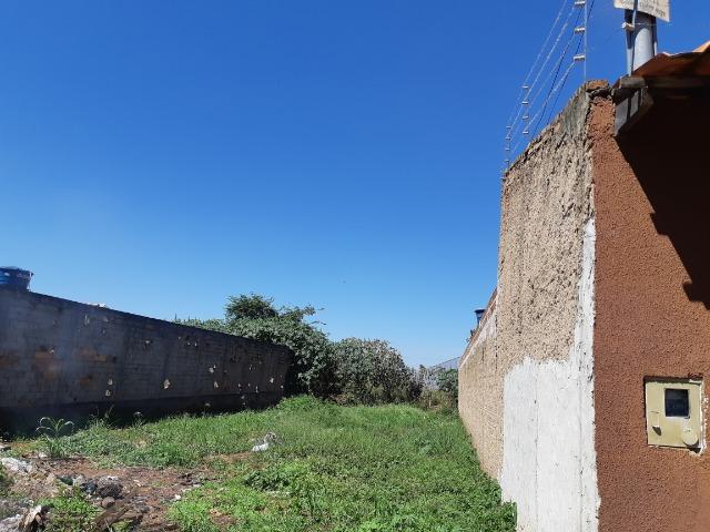 Oportunidade Lote em Goiania de rua Setor Tempo Novo proximo ao Sopping America - Foto 7