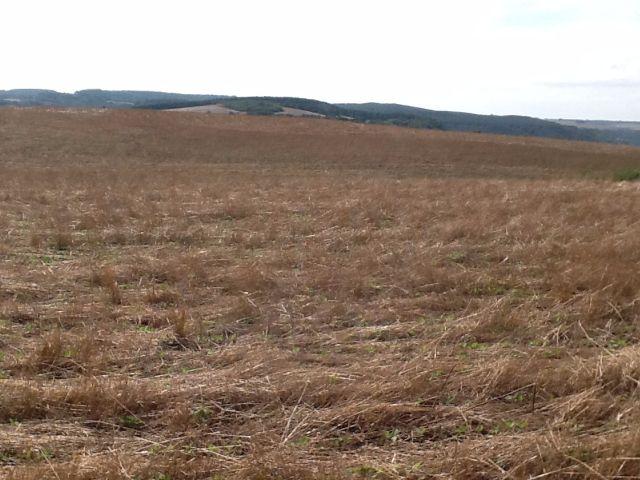 Fazenda de 68 Alqueires . 44 alqueires Mecanizados .Mil Sacas de Soja por Alqueire - Foto 9