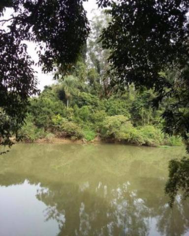 Terreno à venda em Zona rural, Cosmopolis cod:AR004467 - Foto 5