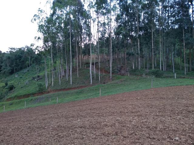 Sitio Palmital Taió-SC 4 hectares - Foto 9