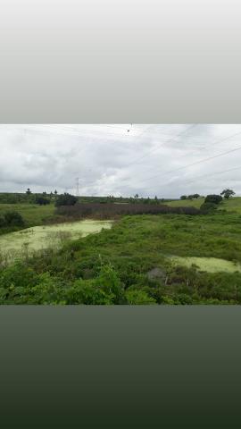 Fazenda com 380 hectares na região de macaiba - Foto 6