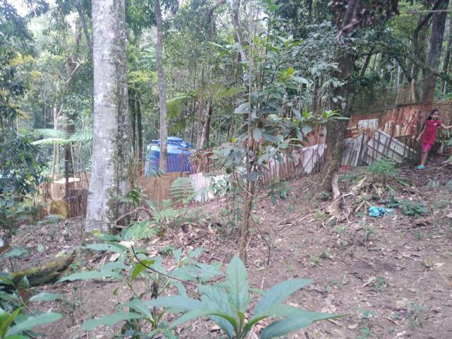 Terreno de chácara 800mt° - Foto 3