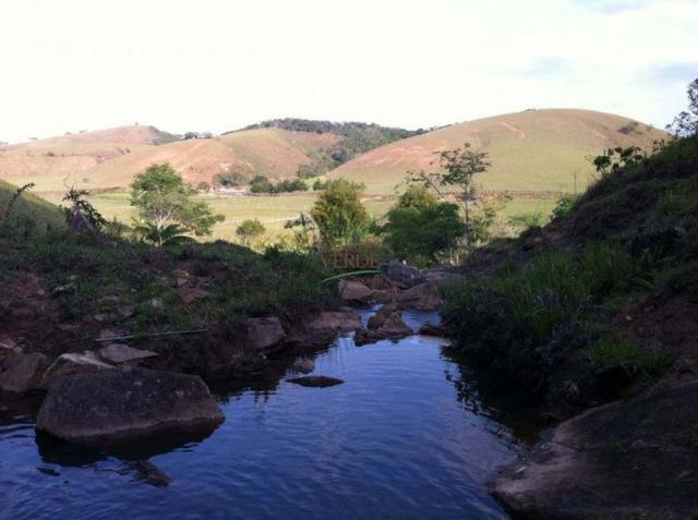 Oportunidade única!!! Fazenda documentada - Cód 1505 - Foto 3