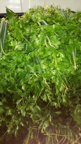 Cheiro verde pra revenda.mercadinho.restaurante e distribuição