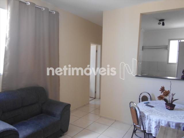 Apartamento à venda com 2 dormitórios em Nova baden, Betim cod:734163 - Foto 17