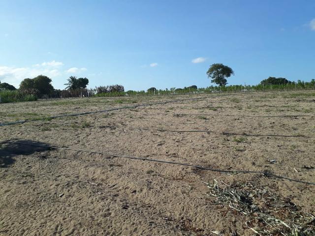 Granja estruturada em lagoa salgada 100% irrigada - Foto 17