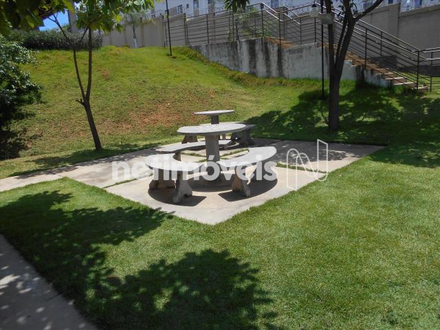 Apartamento à venda com 2 dormitórios em Nova baden, Betim cod:734163 - Foto 4