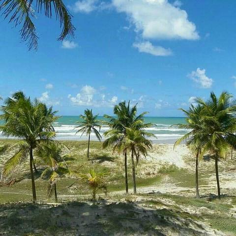 Terreno Beira Mar apenas R$8,00 m2 - Foto 5