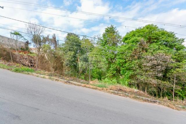 Terreno à venda em Gralha azul, Fazenda rio grande cod:151562 - Foto 14