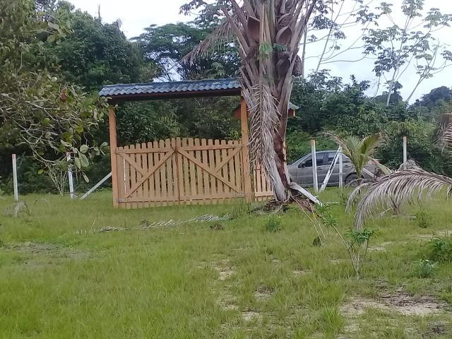 Manacapuru Lindo sitio em, km 69, ramal do Acajatuba com casa mobiliada e igarapé - Foto 11