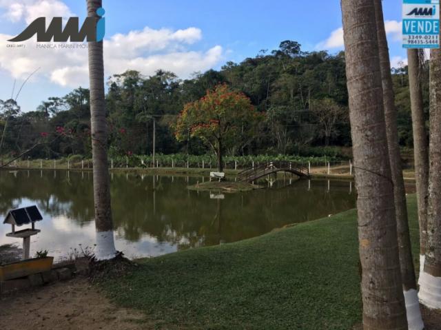 Sitio em piçarras, campo de futebol, galpão, casa, piscina - Foto 5