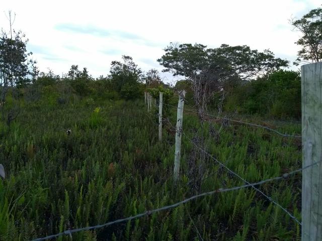 Terreno em Trancoso e Itaipu de dentro - Foto 4