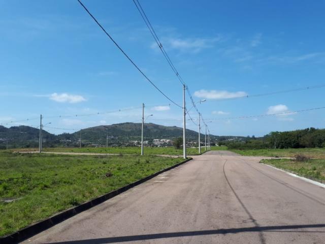 Terreno à venda em Vila nova, Porto alegre cod:VZ5649 - Foto 4