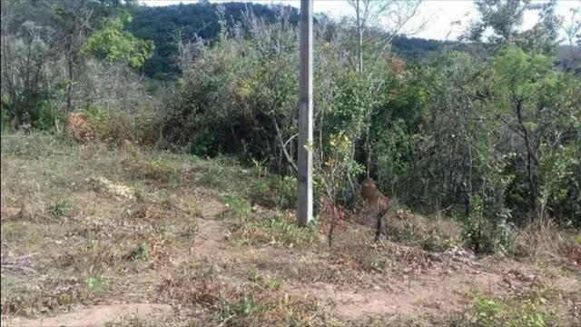 Terreno Morro Vermelho - Foto 2