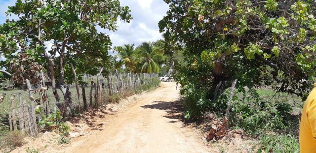 Terreno no Povoado Gameleira/ Areia Branca - Mosqueiro - Foto 6