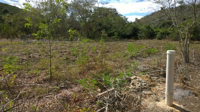 Chácaras em colatina - Foto 5