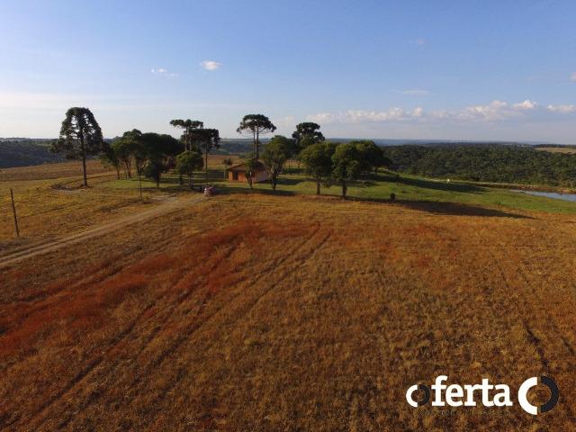 Fazenda com 54 alqueires em Mariental, na Lapa - Foto 16