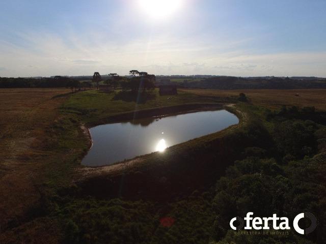 Fazenda com 54 alqueires em Mariental, na Lapa - Foto 11
