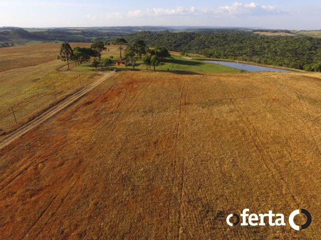 Fazenda com 54 alqueires em Mariental, na Lapa - Foto 2
