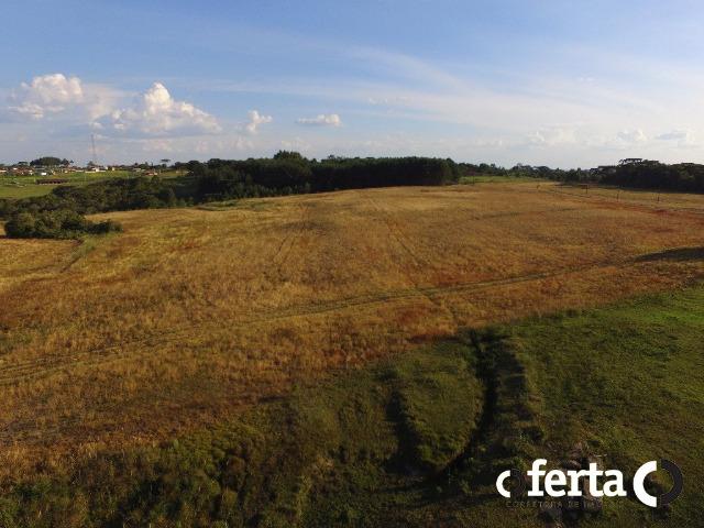 Fazenda com 54 alqueires em Mariental, na Lapa - Foto 4