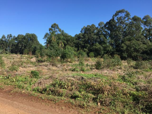 Aceito veículos !! Área de 1.000m2 em Estância Velha bem localizada por apenas R$34.900 - Foto 3