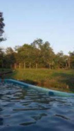 Chácara São José No Tarumã - Para Retiros, Eventos, Confraternizações , Reuniões Familiare - Foto 3