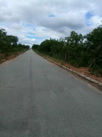 Vendo lote 1.000 metros plano Baldim bairro Santa Luzia - Foto 11