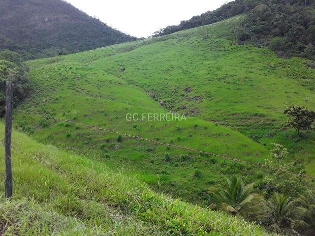 Santa Leopoldina Fazendinha escriturada - Foto 8