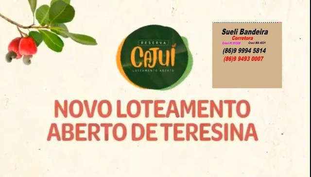 Reserva Cajuí Loteamento Aberto - Foto 12