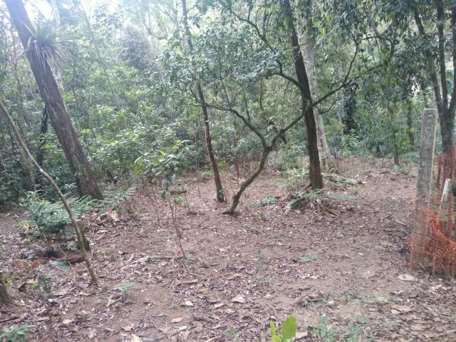 Terreno de chácara 800mt° - Foto 2