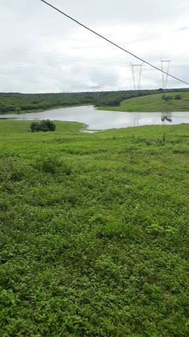 Fazenda com 380 hectares na região de macaiba - Foto 5