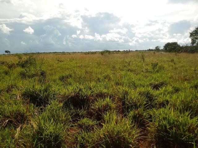 Fazenda entre Jangada e Rosário Oeste com 784 Hectares - Foto 9